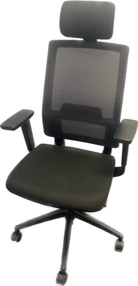 Used Mesh Back Task Chair with Headrest